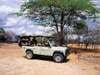 Rufiji River Camp - Game Drive 
